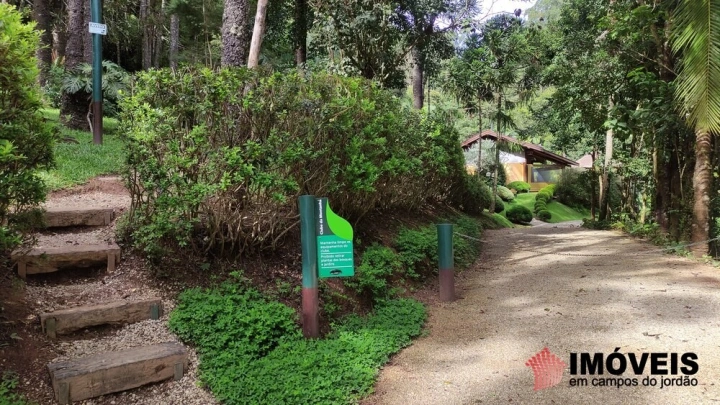 Terreno/Lote em Pinhalzinho em Santo Antônio do Pinhal, Campos do Jordão - foto 23