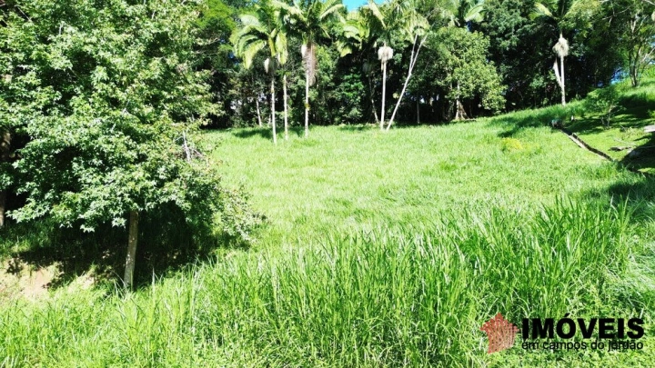 Terreno/Lote em Pinhalzinho em Santo Antônio do Pinhal, Campos do Jordão - foto 30