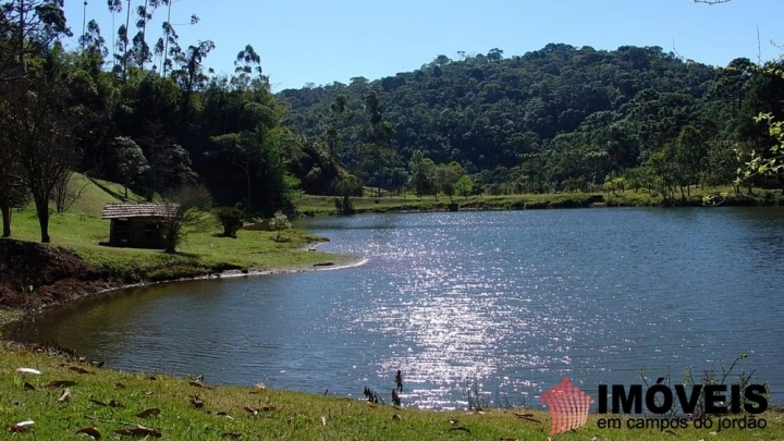 Fazenda em Sertãozinho em Santo Antônio do Pinhal, Campos do Jordão - foto 18