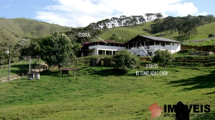 Fazenda em Sertãozinho em Santo Antônio do Pinhal, Campos do Jordão - foto 27