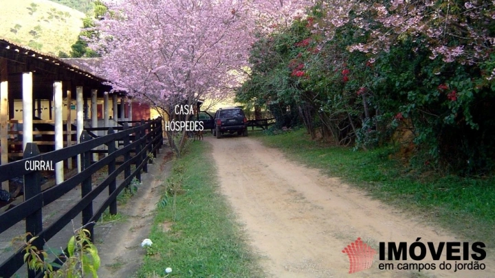 Fazenda em Sertãozinho em Santo Antônio do Pinhal, Campos do Jordão - foto 28
