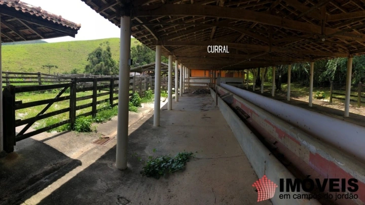 Fazenda em Sertãozinho em Santo Antônio do Pinhal, Campos do Jordão - foto 31