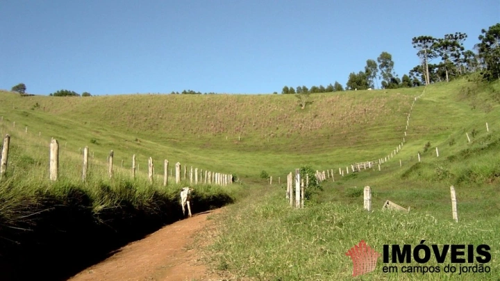 Fazenda em Sertãozinho em Santo Antônio do Pinhal, Campos do Jordão - foto 32