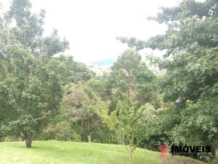 Terreno/Lote em Vila Abernéssia, Campos do Jordão - foto 2