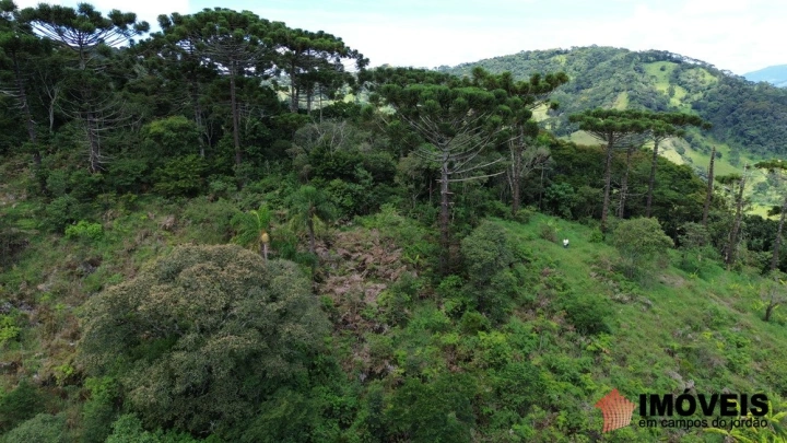 Terreno/Lote em Alpes de Campos do Jordão, Campos do Jordão - foto 4
