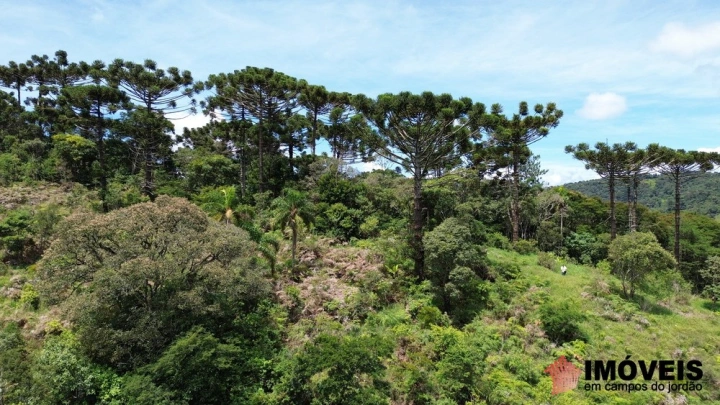 Terreno/Lote em Alpes de Campos do Jordão, Campos do Jordão - foto 6