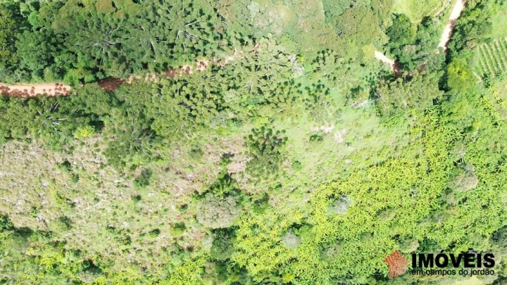Terreno/Lote em Alpes de Campos do Jordão, Campos do Jordão - foto 8