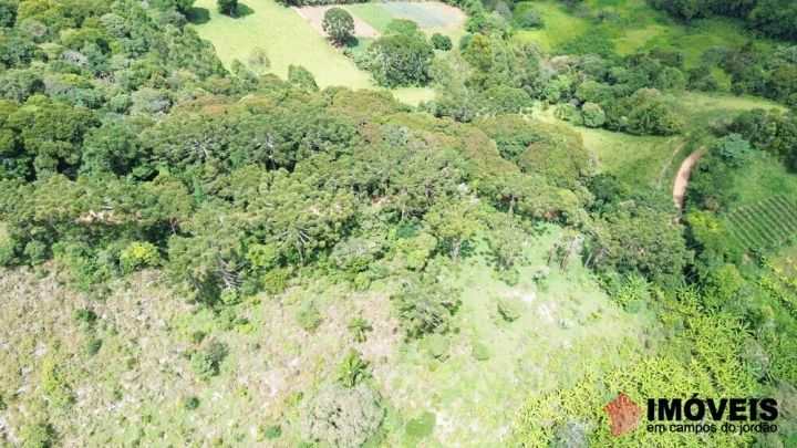 Terreno/Lote em Alpes de Campos do Jordão, Campos do Jordão - foto 9