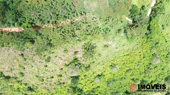 Terreno/Lote em Alpes de Campos do Jordão, Campos do Jordão - foto 10