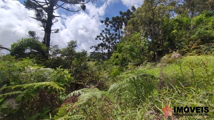 Terreno/Lote em Alpes de Campos do Jordão, Campos do Jordão - foto 15