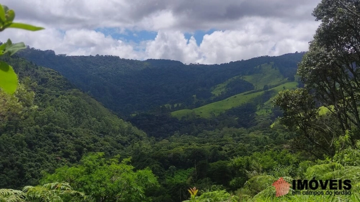 Terreno/Lote em Alpes de Campos do Jordão, Campos do Jordão - foto 19