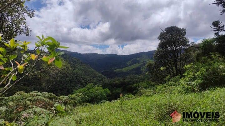Terreno/Lote em Alpes de Campos do Jordão, Campos do Jordão - foto 20