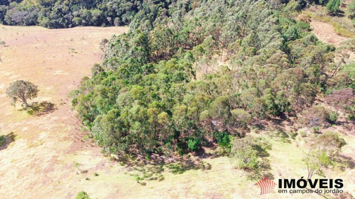 Terreno/Lote em Alpes de Campos do Jordão, Campos do Jordão - foto 3
