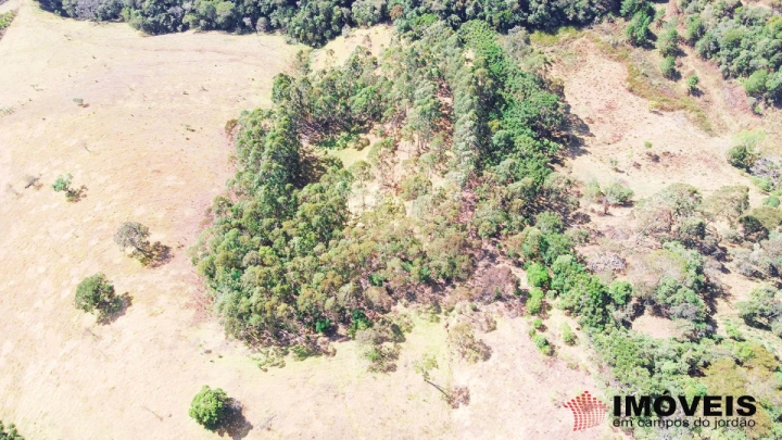 Terreno/Lote em Alpes de Campos do Jordão, Campos do Jordão - foto 4