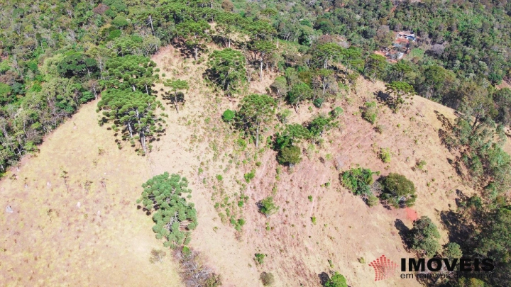Terreno/Lote em Alpes de Campos do Jordão, Campos do Jordão - foto 10