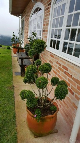 Casa em Água Santa, Campos do Jordão - foto 8