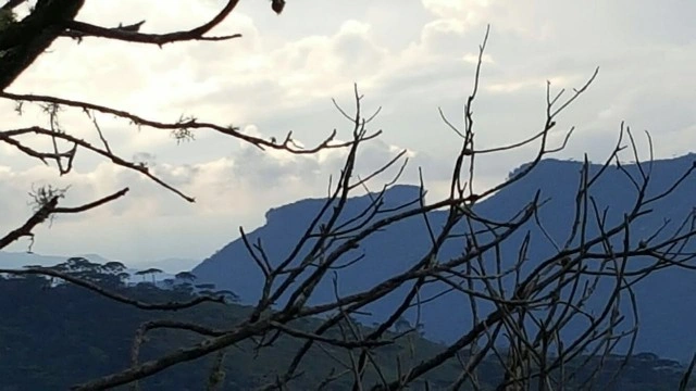 Casa em Água Santa, Campos do Jordão - foto 16