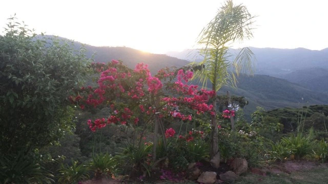 Casa em Água Santa, Campos do Jordão - foto 18