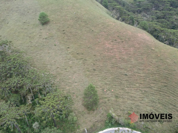 Área para Incorporação em Descansópolis, Campos do Jordão - foto 2