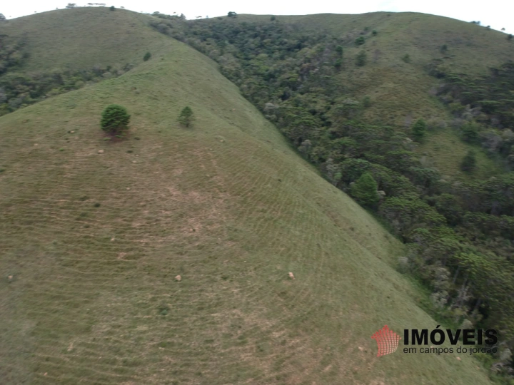 Área para Incorporação em Descansópolis, Campos do Jordão - foto 7
