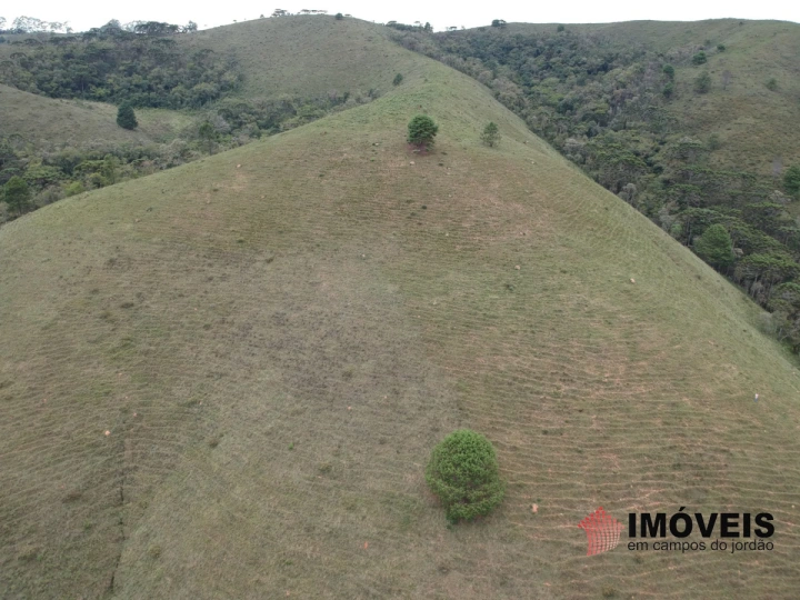 Área para Incorporação em Descansópolis, Campos do Jordão - foto 8