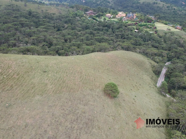 Área para Incorporação em Descansópolis, Campos do Jordão - foto 9