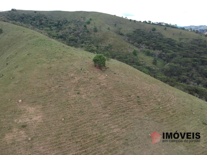 Área para Incorporação em Descansópolis, Campos do Jordão - foto 12