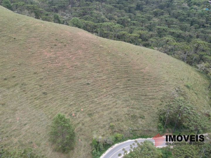 Área para Incorporação em Descansópolis, Campos do Jordão - foto 13