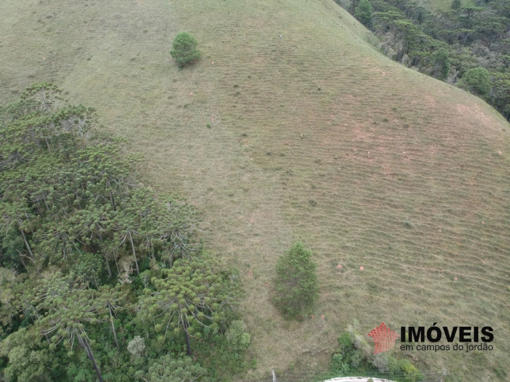 Área para Incorporação em Descansópolis, Campos do Jordão - foto 16