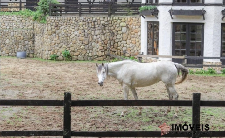 Haras em Parque das Águas Claras, Campos do Jordão - foto 23