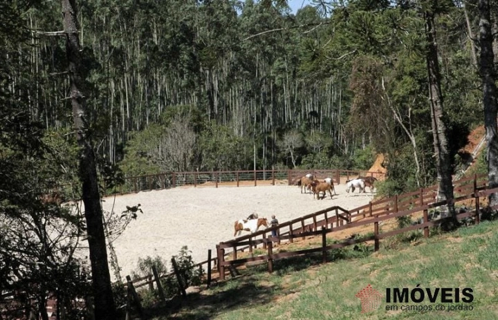 Haras em São Benedito, Campos do Jordão - foto 3