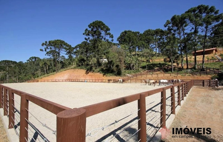 Haras em São Benedito, Campos do Jordão - foto 6