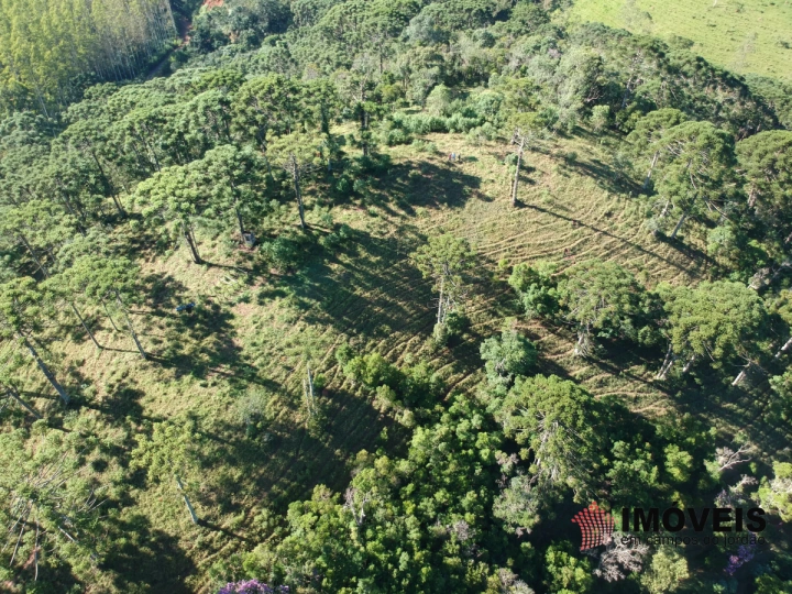 Haras em São Benedito, Campos do Jordão - foto 15