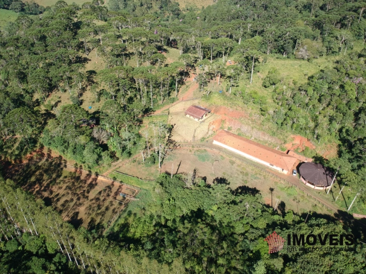 Haras em São Benedito, Campos do Jordão - foto 17