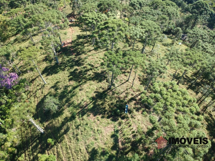 Haras em São Benedito, Campos do Jordão - foto 21