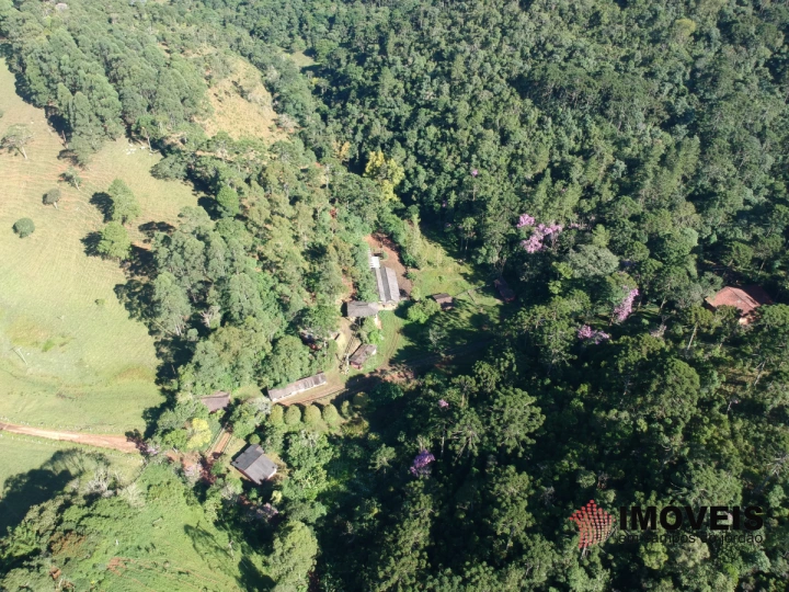 Haras em São Benedito, Campos do Jordão - foto 23