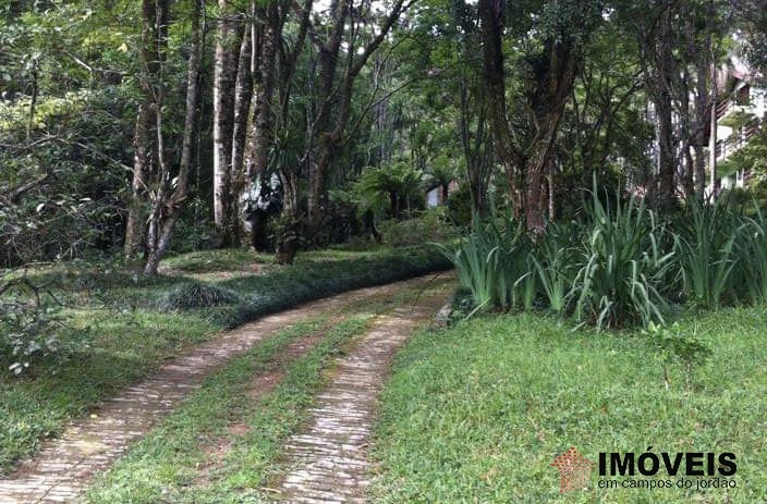 Haras em São Benedito, Campos do Jordão - foto 33