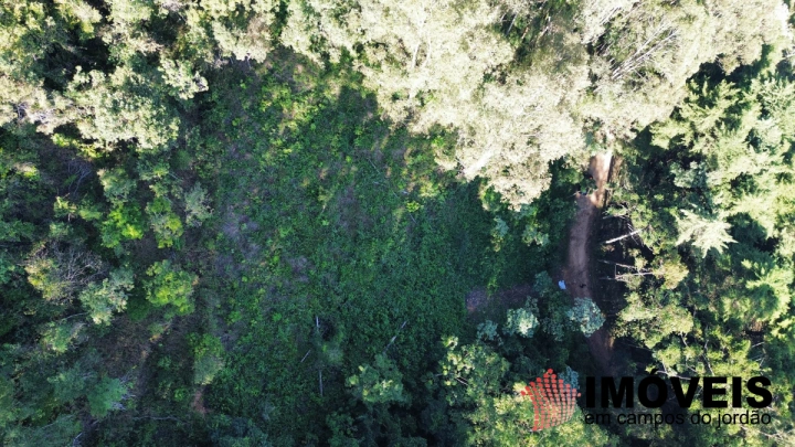 Terreno/Lote em Jardim imperial, Campos do Jordão - foto 4