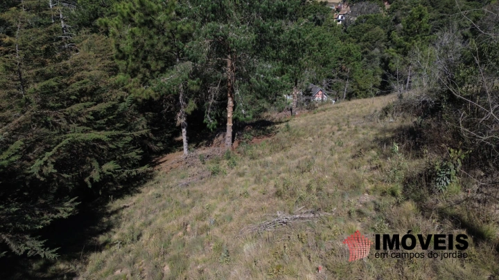 Terreno/Lote em Vila Chantal, Campos do Jordão - foto 6