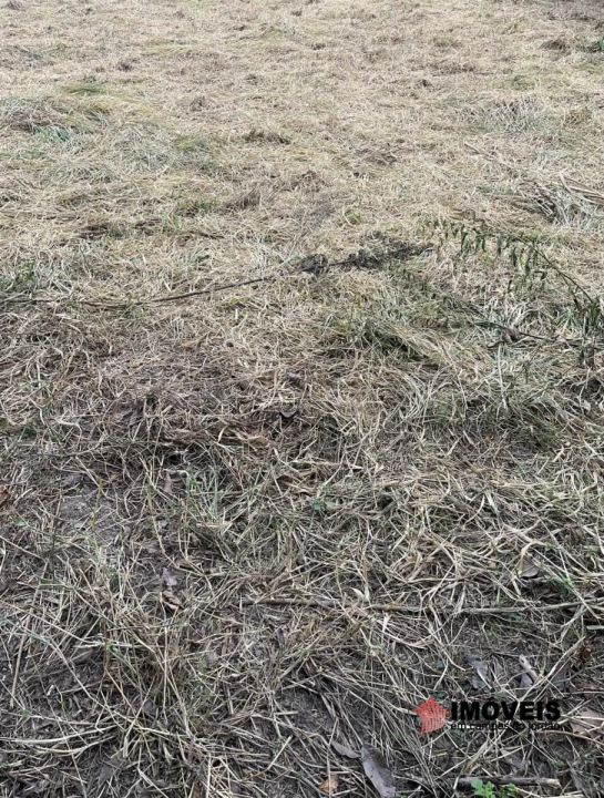 Terreno/Lote em Piracangaguá, Taubaté - foto 5
