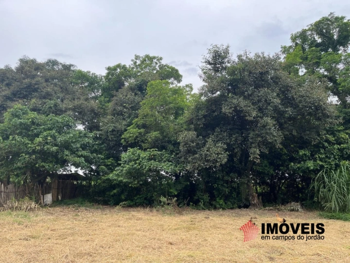 Terreno/Lote em Piracangaguá, Taubaté - foto 6