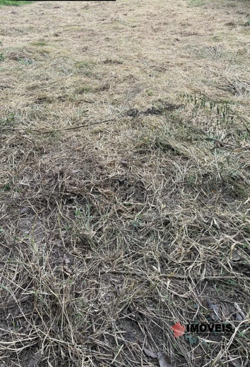 Terreno/Lote em Piracangaguá, Taubaté - foto 10