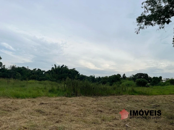 Terreno/Lote em Piracangaguá, Taubaté - foto 13
