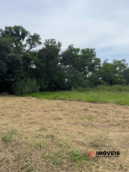 Terreno/Lote em Piracangaguá, Taubaté - foto 15