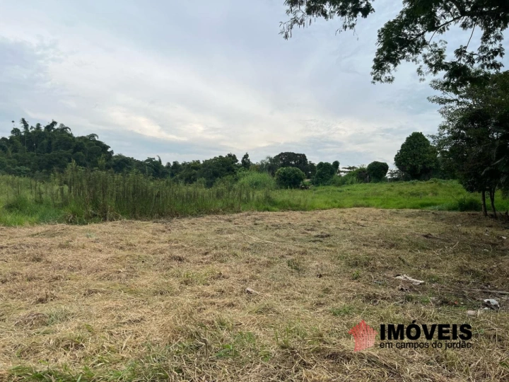 Terreno/Lote em Piracangaguá, Taubaté - foto 17