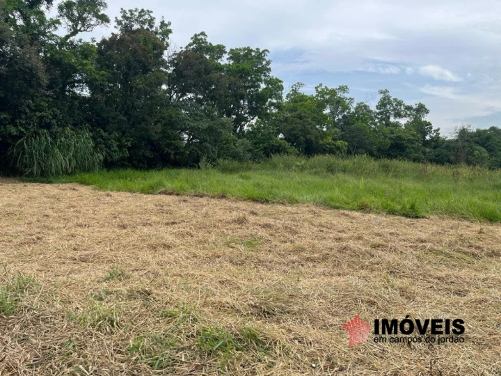 Terreno/Lote em Piracangaguá, Taubaté - foto 18