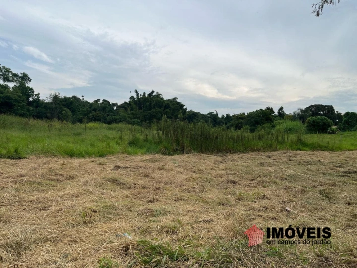 Terreno/Lote em Piracangaguá, Taubaté - foto 19