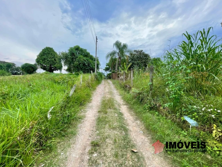 Terreno/Lote em Piracangaguá, Taubaté - foto 21