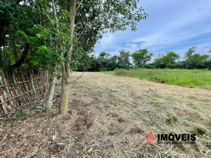 Terreno/Lote em Piracangaguá, Taubaté - foto 23