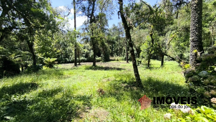 Casa em Rural, Camanducaia - foto 10